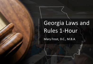 georgia laws rules category